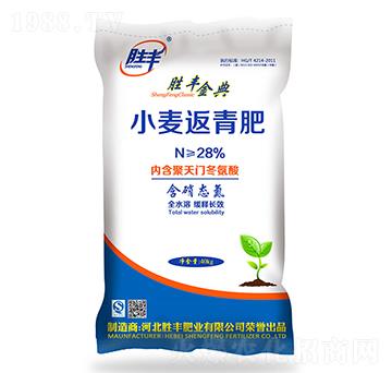 С�������-���S���-