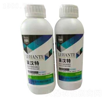 �R�h��-������