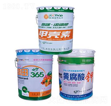 �߶����w�ʼך���-ʢ������