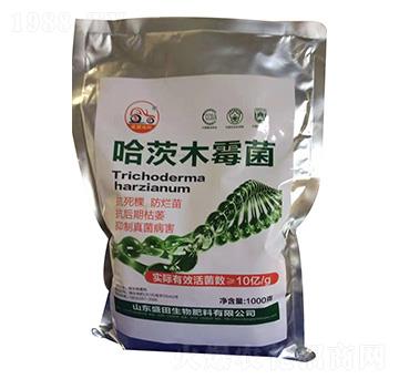 ����ľù��-ʢ������