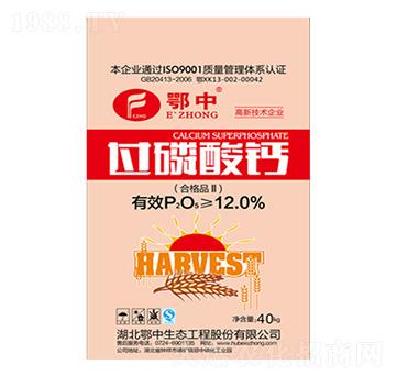 40kg�^(gu��)�����}-�������B(t��i)