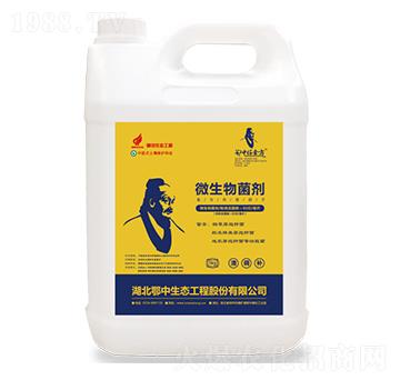 ΢�������-Ǫ��-�������B(t��i)