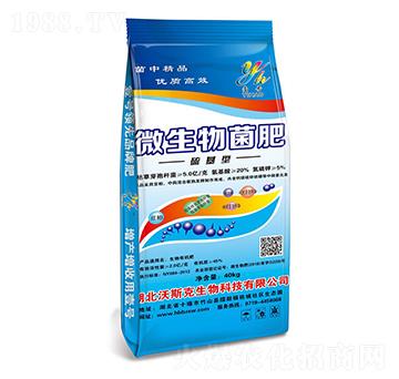 ΢�������-��׿����