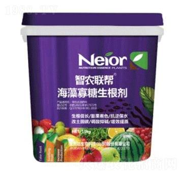 �������������-���_(d��)