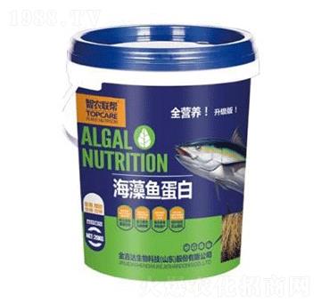 �����~���ף�Ͱ��-���_