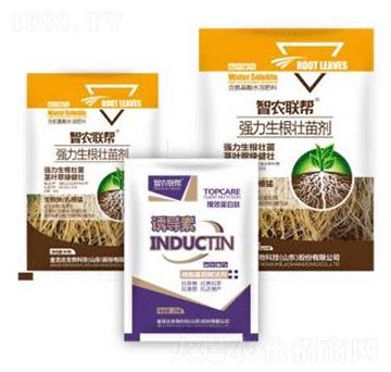 �������焩-���_