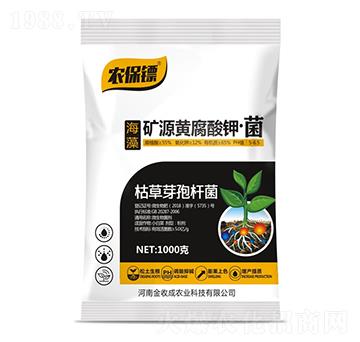 �VԴ�S����⛡���-�r���S-���ճ�