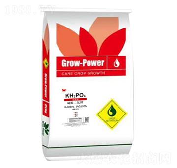 ��������-�ն���