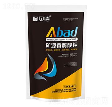 �VԴ�S�����-��ؐ��-�Ɲ��r��