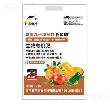 ���ز��������������ЙC��-�𿵉�