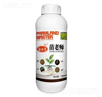 �r��΢�������-��؁����ώ�-�����