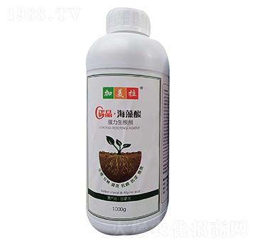 ̼����������-������