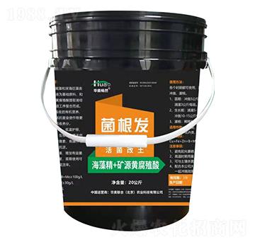 �����l(f��)�����������-�A�W(li��n)��