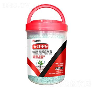 ���ġ��������߾�-�o(w��)��