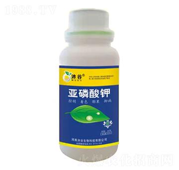 �������-�������