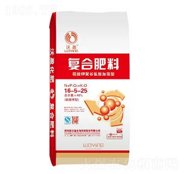 ������͏ͺϷ���16-5-25-��ӯ����