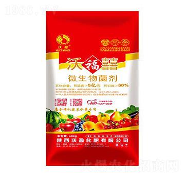 ΢�������-�ָ���-��ӯ����