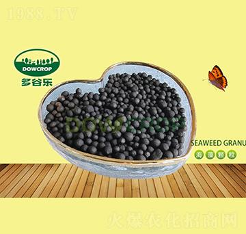 �����ЙC(j��)���w��-��Ș�