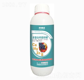 �������Ǵ��}�V�\��-�Aԥ����