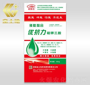 �������-��(y��u)����-������