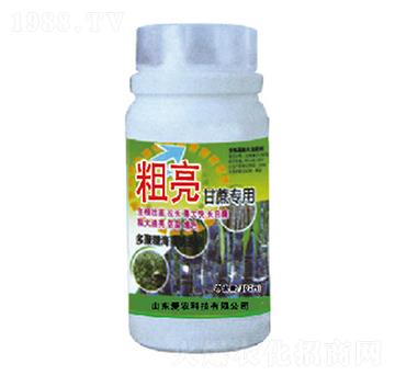 �������ጣ��-�и�����