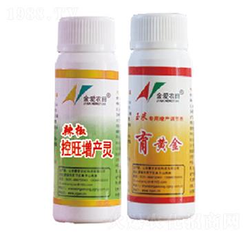 �����������a(ch��n)�`+���S��-�и�����