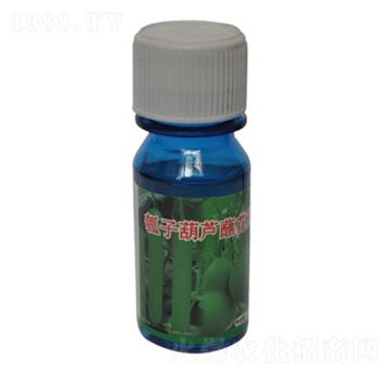 ��Ӻ��Jպ��ˎ-�r����