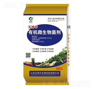 �ЙC΢�������-����ţ