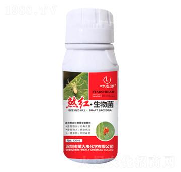 ɷ�t�������-Ξ���x