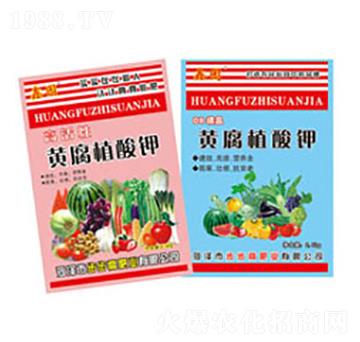 �S��ֲ���-�Έ@-�����߷ʘI(y��)