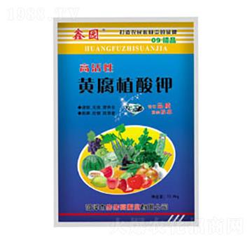 �߻����S��ֲ���-�Έ@-�����߷ʘI(y��)