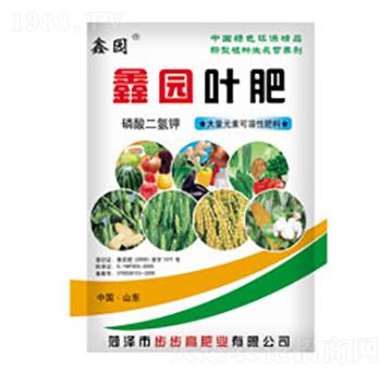 �Έ@�~��-�Έ@-�����߷ʘI(y��)