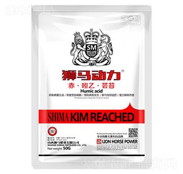 �ࡤ���ҡ��|̦-�{�R����-�{�R�ʘI(y��)