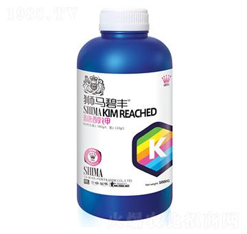 �Ǵ��-�{�R�ʘI(y��)