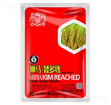 �{�R������-�{�R�ʘI(y��)