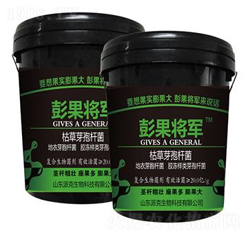 �ݲ�ѿ�ߗU��-������܊-�����r