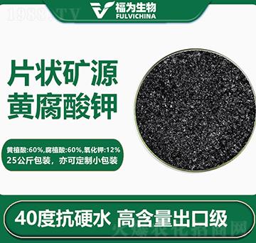 Ƭ��VԴ�S�����-��������