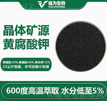 ���w�VԴ�S�����-��������