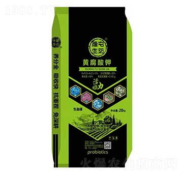 ¡�������S�����-¡������