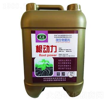 ΢�������-����(d��ng)��-��