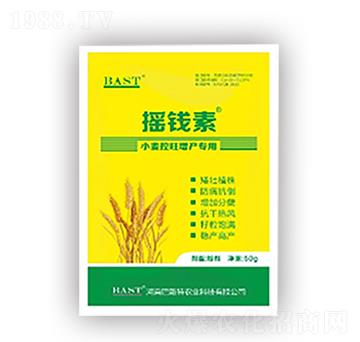 С���������a(ch��n)��(zhu��n)��-�u�X(qi��n)������