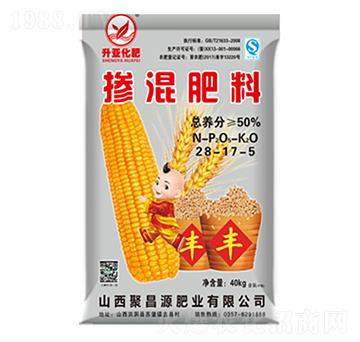 �������28-17-5-����-�S��ʘI(y��)