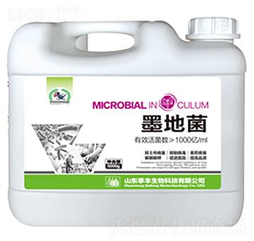 ΢�������-ī�ؾ�-���S����