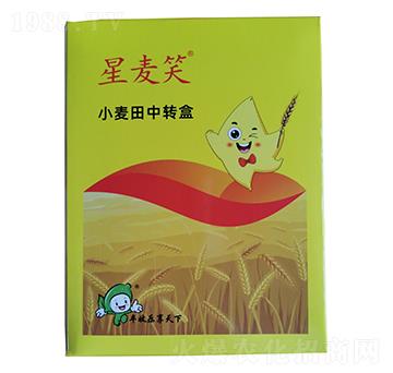 С�������D��-����Ц-�S�՘�