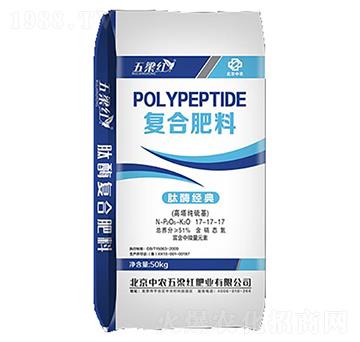 �ͺϷ���17-17-17-�����t