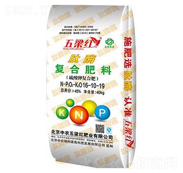 ������ø�ͺϷ���16-10-19-�����t