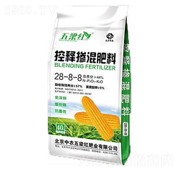 ��ጓ������28-8-8-�����t