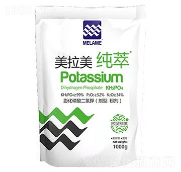 ����������-����-������