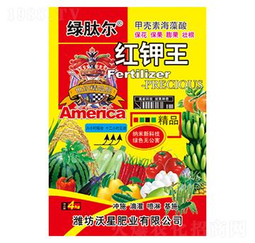 �G�Ġ��t���-�G�Ġ�-