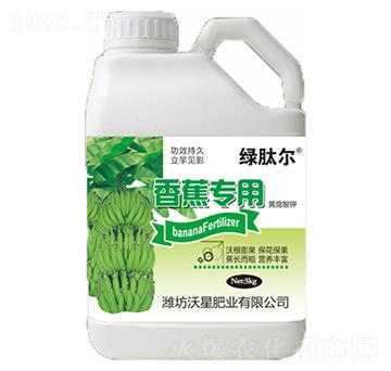 �㽶�����S�����-����